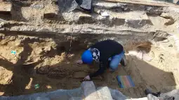 Скелети Брисел